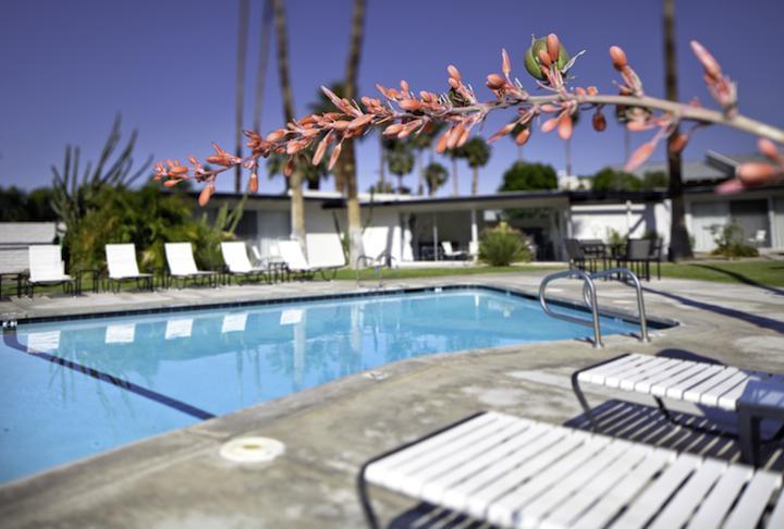 L'Horizon Resort & Spa, Hermann Bungalows Palm Springs Exterior foto